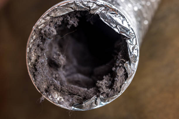 Best Commercial Air Duct Cleaning  in Mount Airy, NC